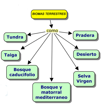 4-biomas terrestres - Unidad 7 : Ecosistemas